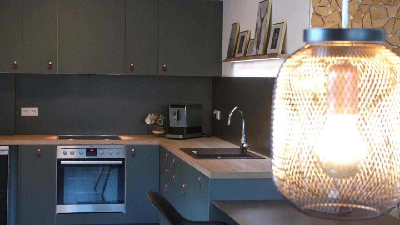 Schwarz I Wald Apartment フロイデンシュタット エクステリア 写真